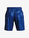 Herren Shorts Under Armour  Woven Emboss Short-BLU