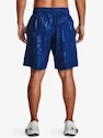 Herren Shorts Under Armour  Woven Emboss Short-BLU