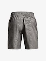 Herren Shorts Under Armour  Woven Emboss Shorts-GRY