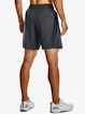 Herren Shorts Under Armour  Woven Graphic Shorts-GRY