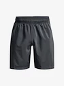 Herren Shorts Under Armour  Woven Graphic Shorts-GRY