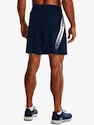 Herren Shorts Under Armour  Woven Graphic Shorts-NVY