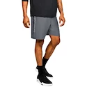 Herren Shorts Under Armour  Woven Graphic Wordmark Short