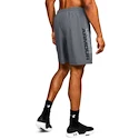 Herren Shorts Under Armour  Woven Graphic Wordmark Short