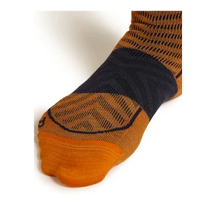 Herren Socken Icebreaker Merino Run+ Ultralight Mini Ray/Graphite