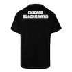 Herren T-Shirt 47 Brand  NHL Chicago Blackhawks Backer '47 ECHO Tee