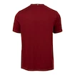 Herren T-Shirt Fila  T-Shirt Bosse Cabernet/White Alyssum