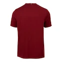 Herren T-Shirt Fila  T-Shirt Bosse Cabernet/White Alyssum