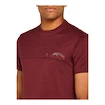 Herren T-Shirt Icebreaker Merino 150 Tech Lite SS T Sing Li Cmp Port