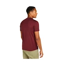 Herren T-Shirt Icebreaker Merino 150 Tech Lite SS T Sing Li Cmp Port