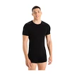 Herren T-Shirt Icebreaker Merino Anatomica SS Crewe Black