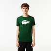 Herren T-Shirt Lacoste  Big Logo Core Performance T-Shirt Green/White XL