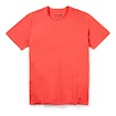 Herren T-Shirt Smartwool  Merino 150 Plant-Based Dye Earth Red Wash XL