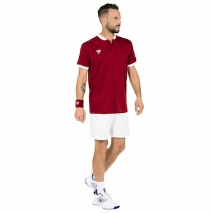 Herren T-Shirt Tecnifibre  Club Polo Cardinal