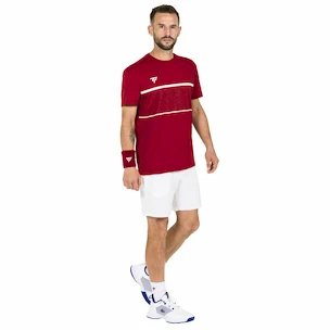 Herren T-Shirt Tecnifibre  Club Tech Tee Cardinal