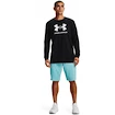 Herren T-Shirt Under Armour  SPORTSTYLE LOGO LS-BLK S