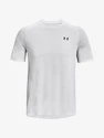 Herren T-Shirt Under Armour  Tiger Tech 2.0 SS-GRY