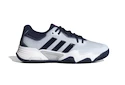 Herren Tennisschuhe adidas  Solematch Control 2 Clay Halo Blue