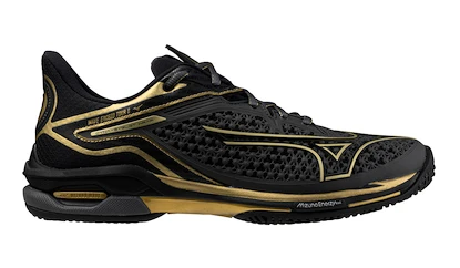 Herren Tennisschuhe Mizuno Wave Exceed TOUR 6 AC 10th Iron Gate/Gold/Black