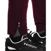 Herren Trainingshose Under Armour  Terry Pant Red