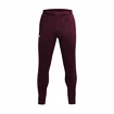 Herren Trainingshose Under Armour  Terry Pant Red