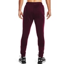 Herren Trainingshose Under Armour  Terry Pant Red