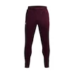 Herren Trainingshose Under Armour  Terry Pant Red XL