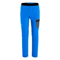 Herrenhose Salewa  Pedroc Light DST Cloisonne