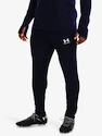 Herrenhose Under Armour  M's Ch. Train Pant-BLU