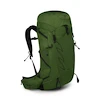 Herrenrucksack OSPREY TALON 33 green belt/black