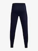 Hosen für Frauen Under Armour HeatGear NEW FABRIC Pant-NVY