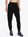 Hosen für Frauen Under Armour  Meridian CW Pant-BLK