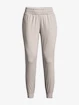 Hosen für Frauen Under Armour  Meridian CW Pant-GRY