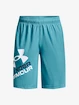 Jungen Shorts Under Armour  Prototype 2.0 Logo Shorts-BLU S