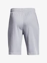 Jungen Shorts Under Armour  Prototype 2.0 Logo Shorts gray