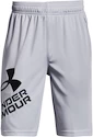 Jungen Shorts Under Armour  Prototype 2.0 Logo Shorts gray M