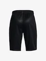 Jungen Shorts Under Armour  Renegade 3.0 PRTD Shorts-BLK