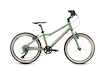 Kinder Fahrrad Academy  Grade 4 - 20" Green