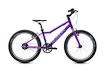 Kinder Fahrrad Academy  Grade 4 Belt - 20" Purple