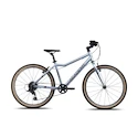 Kinder Fahrrad Academy  Grade 5 Edition - FUNtasy Silver