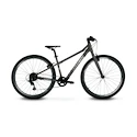 Kinder Fahrrad Bemoov  M26 grey