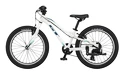 Kinder Fahrrad GT  Stomper 20 Ace