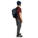 Rucksack OSPREY Daylite DAYLITE, ash blush pink/earl grey