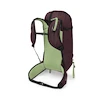 Rucksack OSPREY FIRN 28 elderberry purple/pepprmnt grn