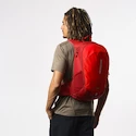 Rucksack Salomon  Trailblazer 20 Red Dahlia/High Risk Red