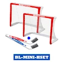 Schulungsunterlagen Blue Sports  MINI HOCKEY GOAL SET