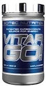 Scitec Nutrition Vitargo 900 g