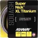 Squashsaite Ashaway  SuperNick XL Ti