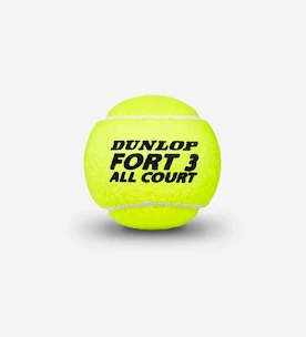 Tennisbälle Dunlop  Fort All Court TS