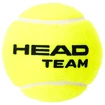 Tennisbälle Head  Team 3B (3 Pack)